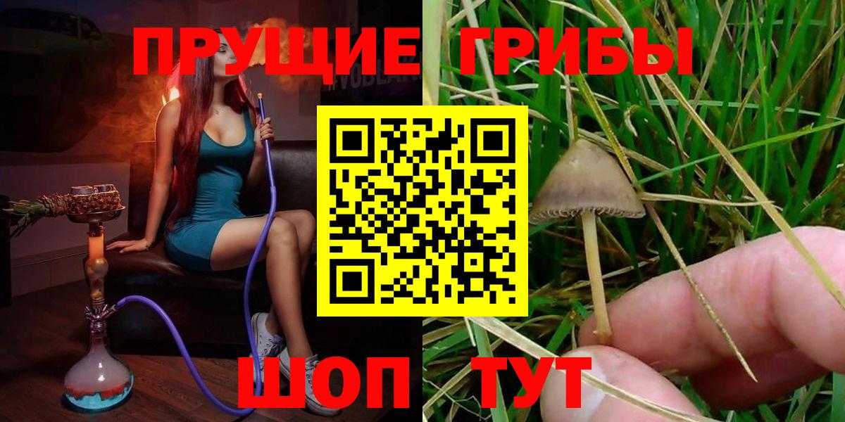 Псилоцибиновые грибы Psilocybine cubensis Павлово