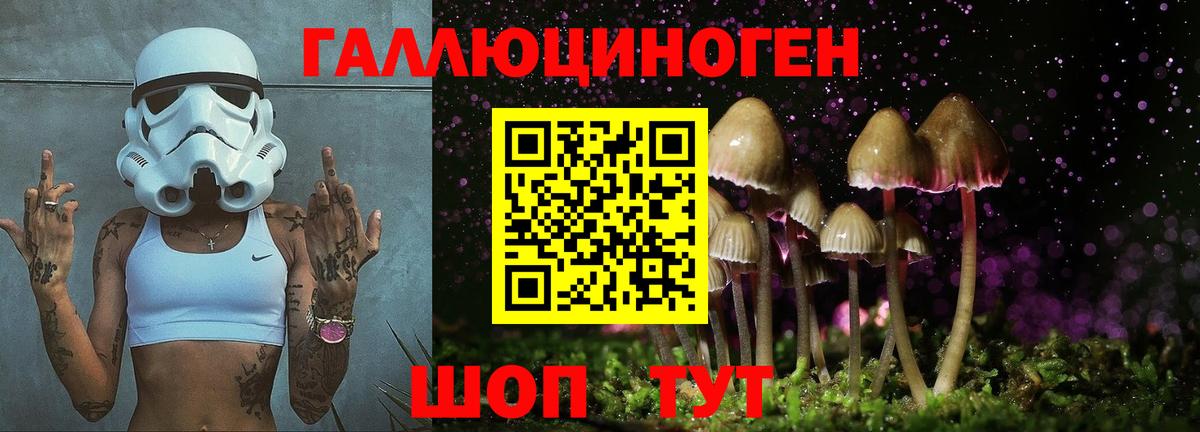 Павлово  Галлюциногенные грибы Cubensis  Вход с VPN 