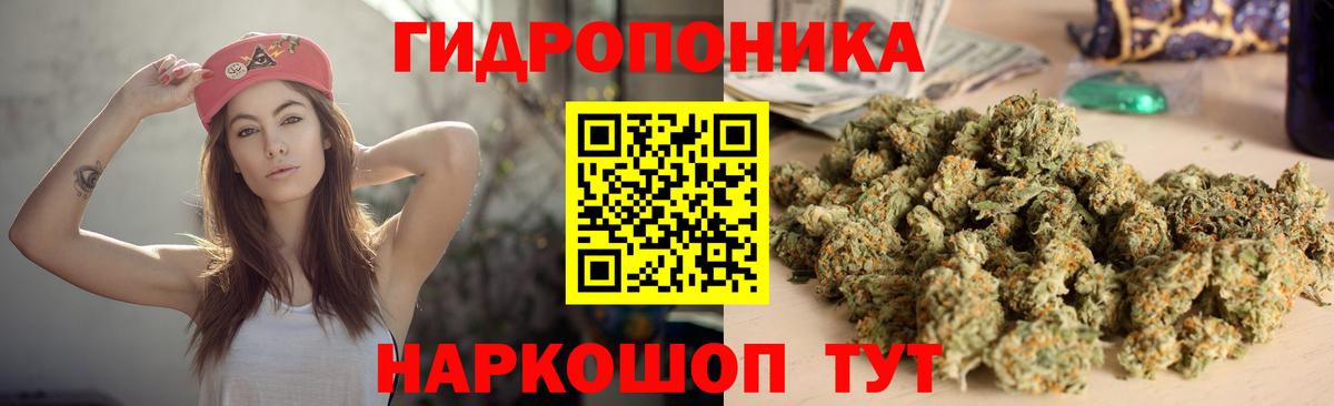 Каннабис планчик Павлово